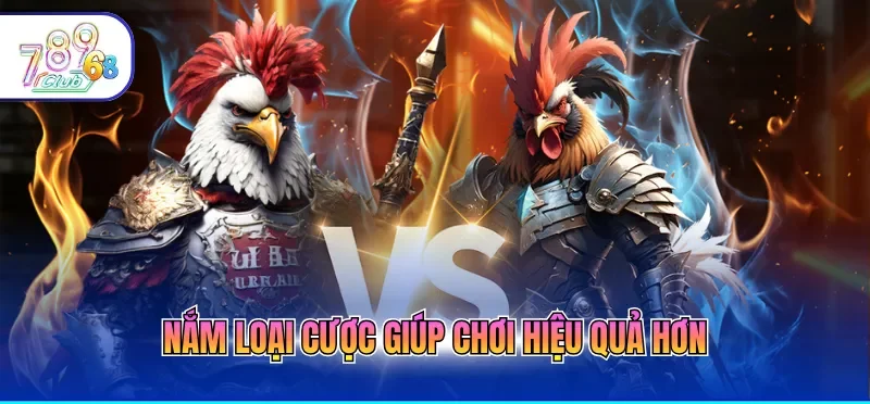 Cách Chơi Đá Gà Online Giúp Người Mới Dễ Dàng Làm Quen 2 Nắm loại cược giúp chơi hiệu quả hơn