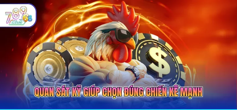 Cách Chơi Đá Gà Online Giúp Người Mới Dễ Dàng Làm Quen 3 Quan sát kỹ giúp chọn đúng chiến kê mạnh